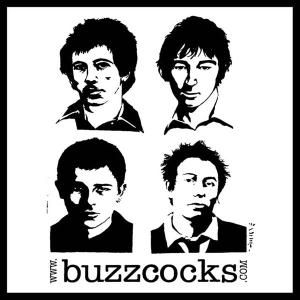 Buzzcocks - Secret Public's: Best In